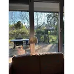 Spacious Ground-floor In Holiday home *