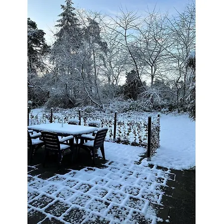 Spacious Ground-floor In Holiday home *