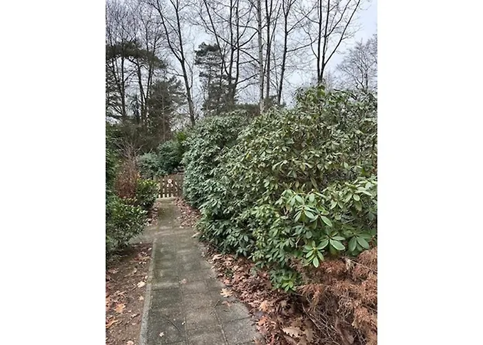 Spacious Ground-floor In *