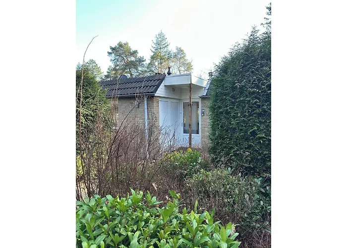 Spacious Ground-floor In Сasa de vacaciones Lochem